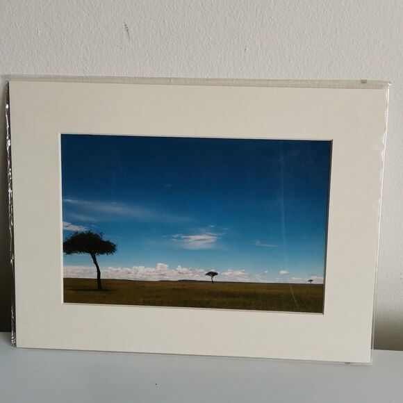 Other - NWOT Home art.